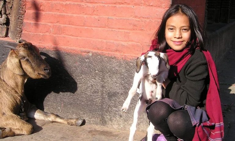 प्रदेश १ मा ‘हेल्लो विद्यार्थी कार्यक्रम’